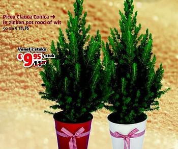 Promoties Picea clauca conica  in zinken pot rood of wit - Huismerk - Aveve - Geldig van 25/11/2014 tot 14/12/2014 bij Aveve