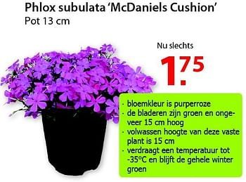Promoties Phlox subulata `mcdaniels cushion` - Huismerk - Pelckmans - Geldig van 18/02/2015 tot 02/03/2015 bij Pelckmans Tuincenter