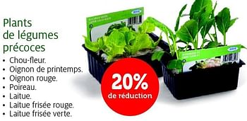 Promotions Plants de légumes précoces - Produit maison - Aveve - Valide de 24/02/2015 à 08/03/2015 chez Aveve