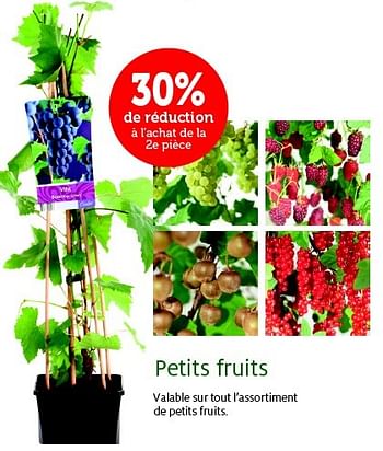 Promotions Petits fruits - Produit maison - Aveve - Valide de 24/02/2015 à 08/03/2015 chez Aveve