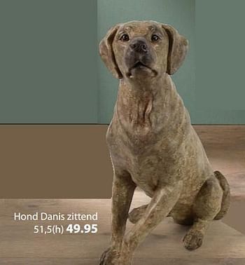 Promoties Hond danis zittend - Huismerk - Unikamp - Geldig van 30/03/2015 tot 26/04/2015 bij Unikamp