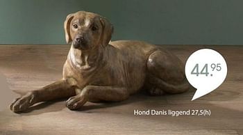 Promoties Hond danis liggend - Huismerk - Unikamp - Geldig van 30/03/2015 tot 26/04/2015 bij Unikamp