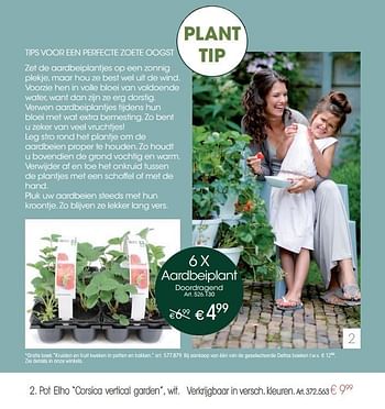 Promoties 6 x aardbeiplant - Huismerk - Walter Van Gastel - Geldig van 15/04/2015 tot 26/04/2015 bij Walter Van Gastel