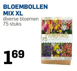 Promoties Bloembollen mix xl - Huismerk - Action - Geldig van 24/03/2015 tot 19/04/2015 bij Action
