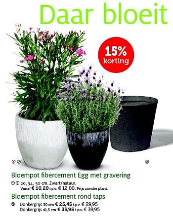 Promoties Bloempot fibercement egg met gravering - Huismerk - Aveve - Geldig van 28/04/2015 tot 10/05/2015 bij Aveve