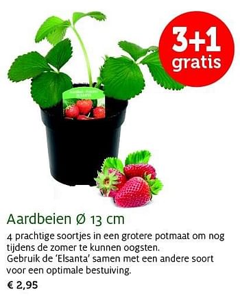 Promoties Aardbeien - Huismerk - Aveve - Geldig van 28/04/2015 tot 10/05/2015 bij Aveve