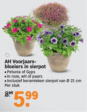 Promotions Ah voorjaarsbloeiers in sierpot - Produit Maison - Albert Heijn - Valide de 08/06/2015 à 14/06/2015 chez Albert Heijn