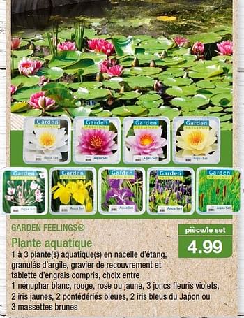 promotion Aldi: Plante aquatique - Garden Feelings (Jardin ...