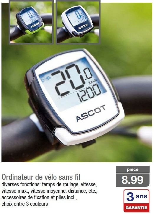 Montre discount ascot aldi