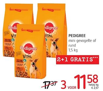 Promotions Pedigree mini gevogelte of rund - Pedigree - Valide de 06/10/2016 à 19/10/2016 chez Eurospar (Colruytgroup)