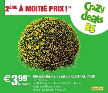 Promoties Chrysanthème de jardin central park - Central Park - Geldig van 11/10/2016 tot 24/10/2016 bij Brico