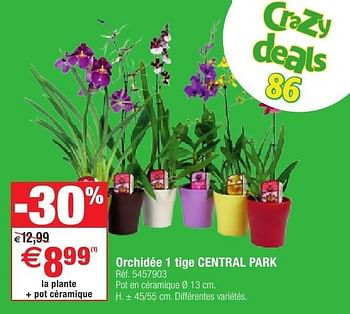 Promoties Orchidée 1 tige central park - Central Park - Geldig van 11/10/2016 tot 24/10/2016 bij Brico
