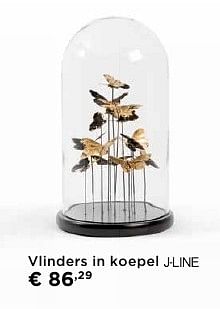 Promoties Vlinders in koepel j-line - J-line - Geldig van 01/10/2016 tot 31/10/2016 bij Molecule