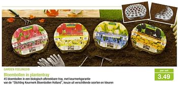 Promoties Bloembollen in plantentray - Garden Feelings - Geldig van 12/10/2016 tot 19/10/2016 bij Aldi
