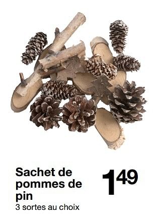 Promoties Sachet de pommes de pin - Huismerk - Zeeman  - Geldig van 15/10/2016 tot 21/10/2016 bij Zeeman