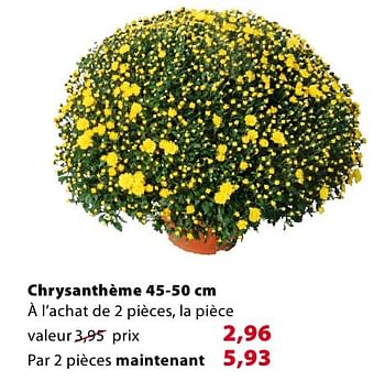 Promoties Chrysanthème - Huismerk - Gamma - Geldig van 19/10/2016 tot 24/10/2016 bij Gamma