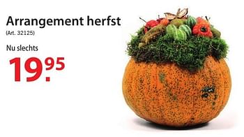 Promoties Arrangement herfst - Huismerk - Pelckmans - Geldig van 12/10/2016 tot 24/10/2016 bij Pelckmans Tuincenter