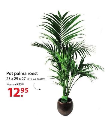 Promotions Pot palma roest - Produit maison - Pelckmans - Valide de 12/10/2016 à 24/10/2016 chez Pelckmans Tuincenter