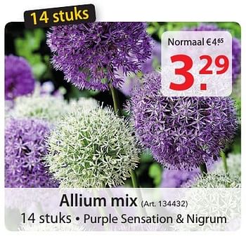 Promoties Allium mix - Huismerk - Pelckmans - Geldig van 12/10/2016 tot 24/10/2016 bij Pelckmans Tuincenter