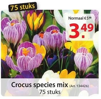 Promotions Crocus species mix - Produit maison - Pelckmans - Valide de 12/10/2016 à 24/10/2016 chez Pelckmans Tuincenter
