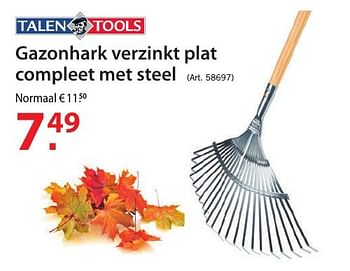 Promoties Gazonhark verzinkt plat compleet met steel - Talen Tools - Geldig van 12/10/2016 tot 24/10/2016 bij Pelckmans Tuincenter