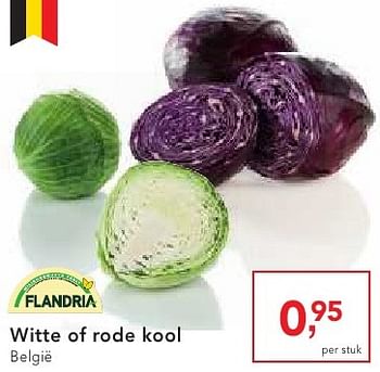 Promotions Witte of rode kool - Flandria - Valide de 19/10/2016 à 01/11/2016 chez Makro