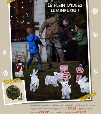Promoties Décoration lumineuse led - Huismerk - Dreamland - Geldig van 24/11/2016 tot 25/12/2016 bij Dreamland