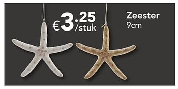 Promoties Zeester - Huismerk - Euroshop - Geldig van 18/11/2016 tot 31/12/2016 bij Euro Shop