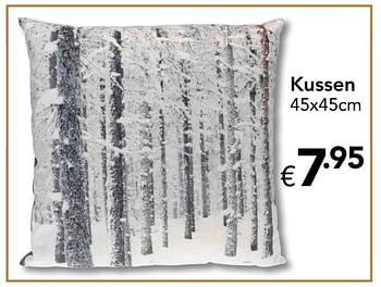Promoties Kussen - Huismerk - Euroshop - Geldig van 18/11/2016 tot 31/12/2016 bij Euro Shop