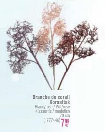 Promotions Branche de corail koraaltak - Produit maison - Cora - Valide de 22/11/2016 à 05/12/2016 chez Cora