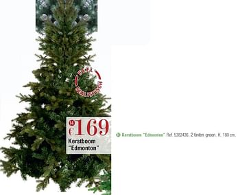 Promoties Kerstboom edmonton - Huismerk - Brico - Geldig van 29/11/2016 tot 26/12/2016 bij Brico