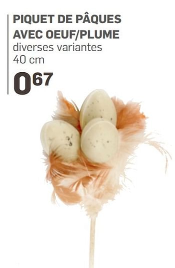 Promotions Piquet de pâques avec oeuf-plume - Produit Maison - Action - Valide de 20/03/2017 à 16/04/2017 chez Action