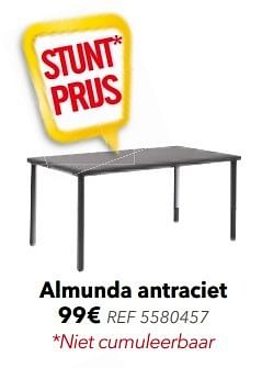 Promoties Almunda antraciet - Huismerk - BricoPlanit - Geldig van 25/04/2017 tot 15/05/2017 bij BricoPlanit