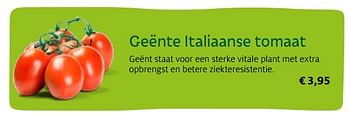 Promoties Geënte italiaanse tomaat - Huismerk - Aveve - Geldig van 01/04/2017 tot 30/09/2017 bij Aveve