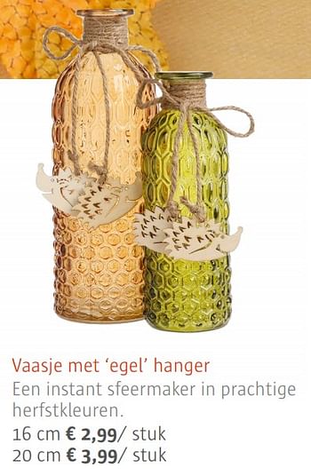 Promoties Vaasje met `egel` hanger - Huismerk - Ava - Geldig van 08/09/2017 tot 30/10/2017 bij Ava