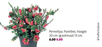 Promoties Pernettya. parelbes - Huismerk - Intratuin - Geldig van 18/09/2017 tot 24/09/2017 bij Intratuin