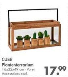 Promoties Cube plantenterrarium - Huismerk - Casa - Geldig van 02/10/2017 tot 29/10/2017 bij Casa