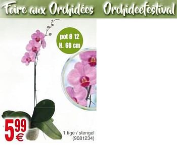 Promoties Foire aux orchidées orchid festival - Huismerk - Cora - Geldig van 03/10/2017 tot 16/10/2017 bij Cora