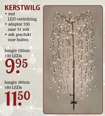 Promoties Kerstwilg - Huismerk - Van Cranenbroek - Geldig van 09/10/2017 tot 29/10/2017 bij Van Cranenbroek