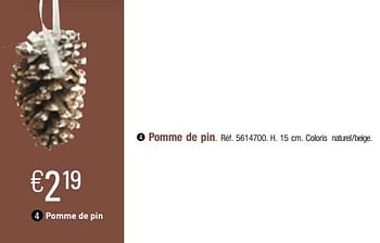 Promoties Pomme de pin - Huismerk - Brico - Geldig van 28/11/2017 tot 23/12/2017 bij Brico