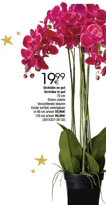 Promotions Orchidée en pot orchidee in pot - Produit maison - Cora - Valide de 28/11/2017 à 24/12/2017 chez Cora