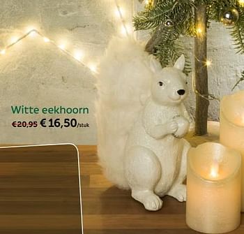 Promoties Witte eekhoorn - Huismerk - Aveve - Geldig van 19/11/2017 tot 09/12/2017 bij Aveve