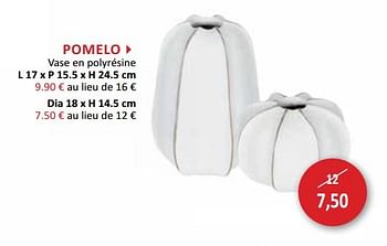 Promotions Pomelo vase en polyrésine - Produit maison - Weba - Valide de 29/11/2017 à 28/12/2017 chez Weba