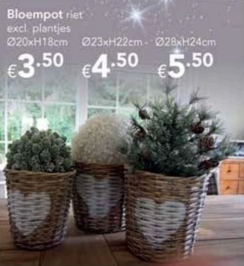 Promoties Bloempot - Huismerk - Happyland - Geldig van 09/12/2017 tot 31/12/2017 bij Happyland