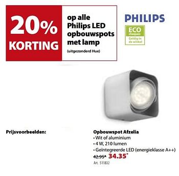 Promoties Philips opbouwspot afzelia - Philips - Geldig van 17/01/2018 tot 29/01/2018 bij Gamma
