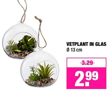 Promoties Vetplant in glas - Huismerk - Big Bazar - Geldig van 15/01/2018 tot 28/01/2018 bij Big Bazar
