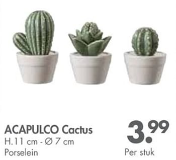 Promoties Acapulco cactus - Huismerk - Casa - Geldig van 29/01/2018 tot 25/02/2018 bij Casa