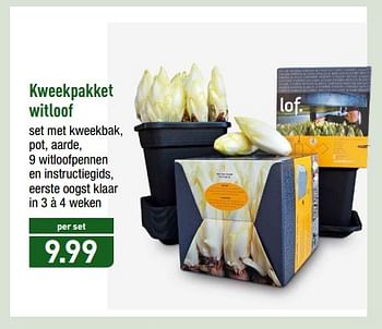 Promoties Kweekpakket witloof - Huismerk - Aldi - Geldig van 19/02/2018 tot 24/02/2018 bij Aldi