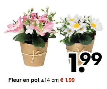 Promotions Fleur en pot - Produit maison - Wibra - Valide de 19/02/2018 à 03/03/2018 chez Wibra