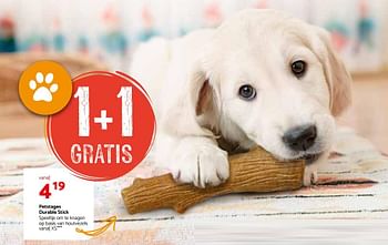 Promoties Petstages durable stick - Petstages - Geldig van 28/02/2018 tot 11/03/2018 bij Tom&Co